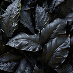black and white leaves