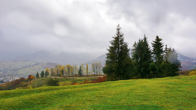 mountainous countryside landscape in autumn. spruce trees on the grassy meadow. village in the distant valley. rainy weather with overcast sky above the ridge