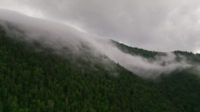 Fog and mist spill over remote forested mountain in Hokkaido, Japan