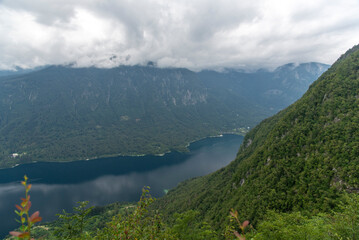 Colorful summer morning on the Bohinj lake in Triglav national park Slovenia, Alps, Europe.