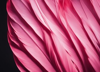 close up view of pink flamingo feathers 