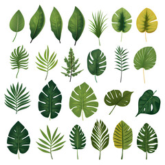 Fototapeta premium leaves collection. Vector isolated elements on transparent background Generative AI