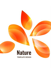 Many transparent isolated petals on a white background. Vector