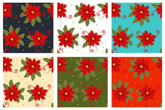 Poinsettia Christmas flower vector cartoon seamless patterns set.