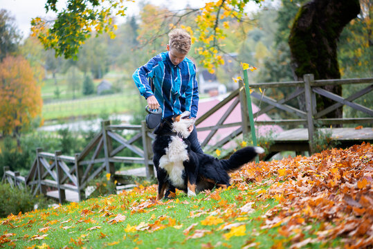 Outdoor portrait of boy with bernese mountain dogin autumn park. Friendship of teenager with pet.