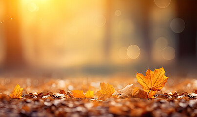 Flying fall leaves on autumn background. Yellow and red maple leaves are flying and falling down. Autumnal landscape.