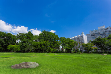 旧岩崎邸庭園14(2023夏)