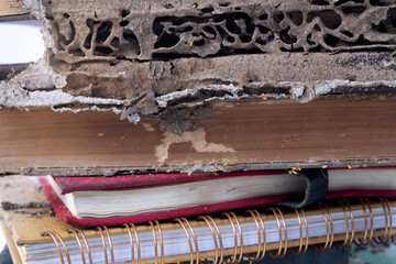 Termite destroy books, Stack of old books was damage by termite