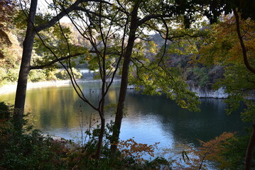 afternoon time on the river