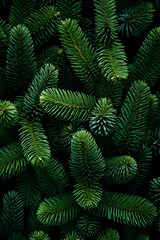 Fir branches green needle abstract background Christmas texture. Vertical composition.
