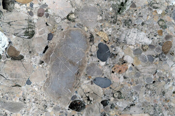 Kalkkonglomerat - calcareous conglomerate - cut and polished rock - obrazy, fototapety, plakaty