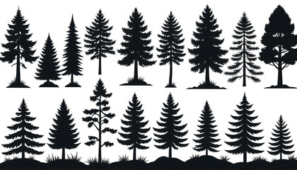 Nature in Black and White: Spruce and Fire Vector Set on transparent background,png