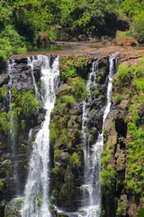 waterfall in the forest