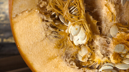 Inside  of  a  gian  orange  pumpkin  showing  seed and  pith