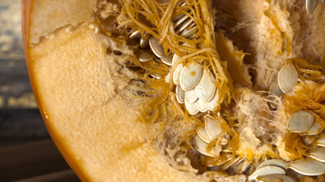 Inside  of  a  gian  orange  pumpkin  showing  seed and  pith
