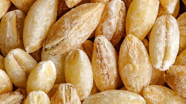 Pearl barley raw spindle-shaped grains, in bulk, rotating, turning, close-up, macro, top, view
