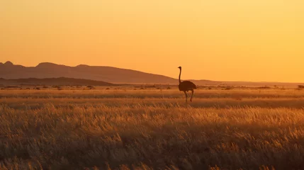 Rolgordijnen Autruche - Namibie © Manon