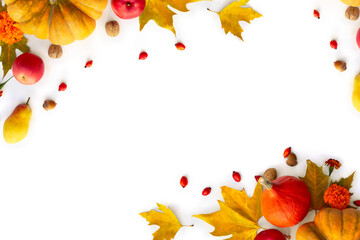 Pumpkin, acorns, red berries, apples and autumnal colorful maple leaves on a white background with...