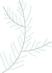 Pine leaf illustration