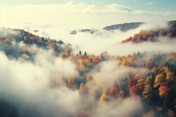 Foggy mountain with Autumn foliage landscape.