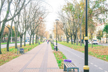 Obraz premium sunset in the park in the city