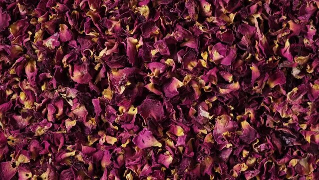 Red magenta rose petals, close-up. Dried rose petals are added to herbal tea, used for gastrointestinal diseases, and also for gargling and eye washing.