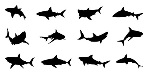 Black shark silhouette collection. Set of different shark silhouette on a white background. Shark silhouette in variety pose - obrazy, fototapety, plakaty