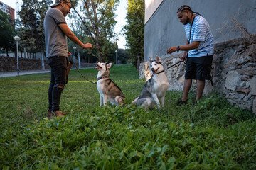 Two friends give dog treats to their pets.