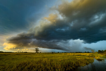 Photo of Super storm with sun light , Dark sunset sky and dramatic black cloud before rain.rainy storm over rice fields,countryside Thailand,ASIA.