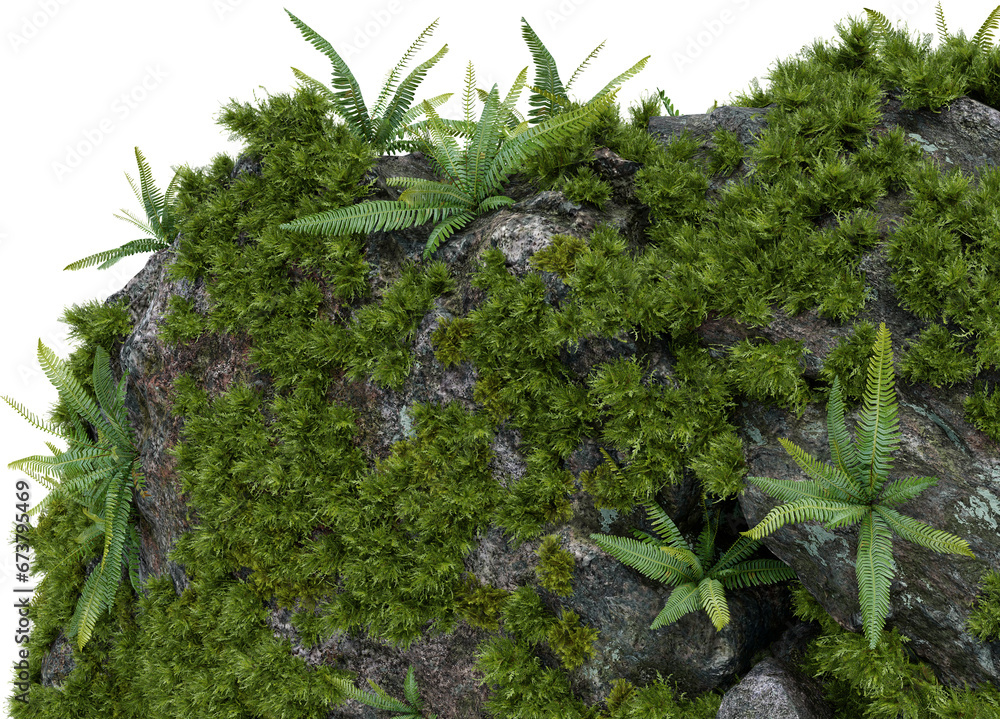 Aufkleber moss plants on stone close-up view. 3d rendering of isolated objects.