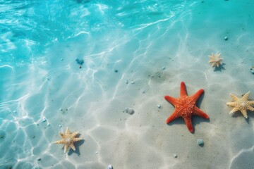 Fototapeta na wymiar A beautiful star fish in sea water in tropical ocean