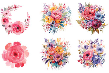 Watercolor rose  floral design set, watercolor rose vector