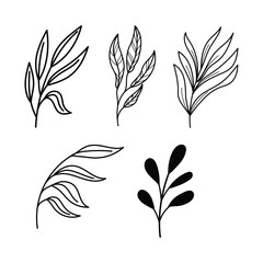 Obraz premium Line art botanical illustration vector on white background