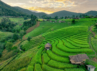 Landscape of green rice terraces amidst mountain agriculture. Travel destinations in Chiangmai,...