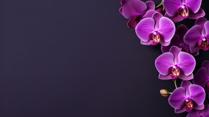 Fototapeta na wymiar Orchid on dark purple background with copy space, Generative AI