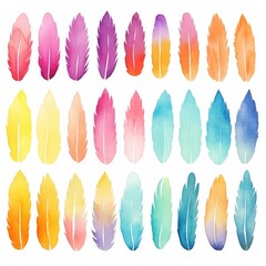 A Vibrant Display of Colorful Feathers on a Clean, White Canvas