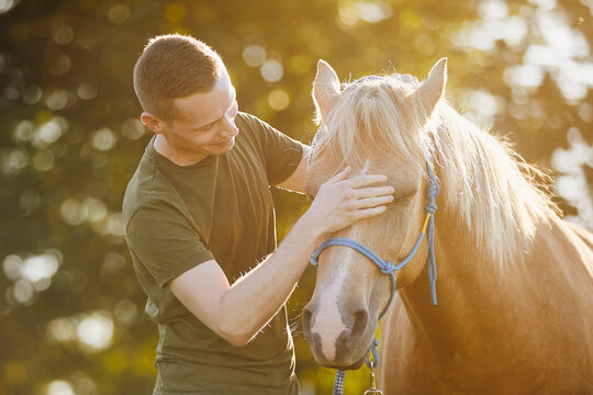 Man is embracing of therapy horse. Themes hippotherapy, care and friendship between people and animals..