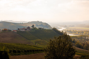 hilly vineyards in Barbaresco, Piedmont in autumn