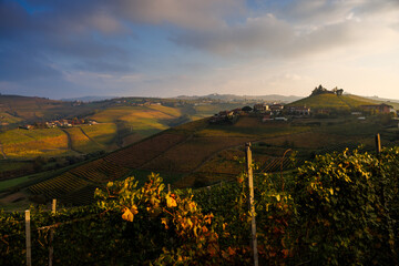 vineyards near Barbaresco, Piedmont in autumn