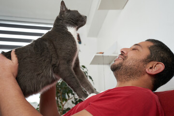 Casual Moment: Man on Couch Bonding with Gray Cat