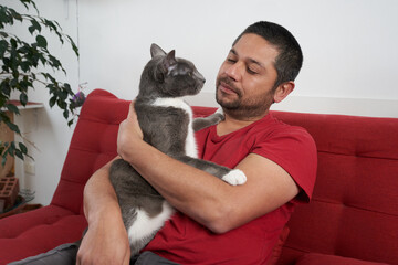 Cozy Cat Companionship: Man and Gray Cat on Sofa