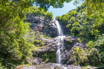 waterfall in the forest
