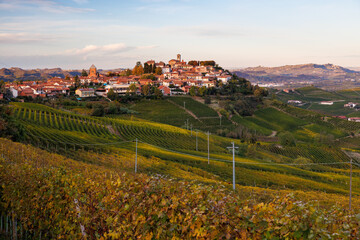 vineyards near Verduno in Barolo, Piedmont in autumn