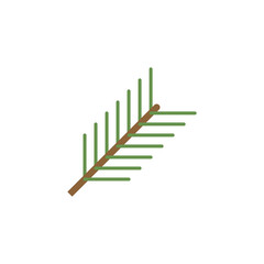 Conifer branch