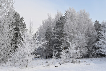 A snow-covered road in a winter forest.