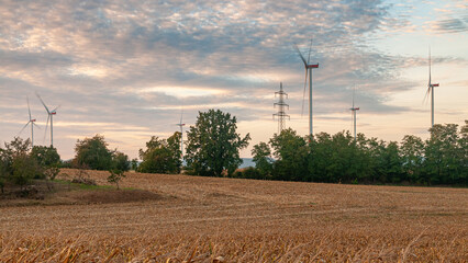 Grüne erneuerbare und nachhaltige Energieerzeugung mit Windrädern auf freiem Feld