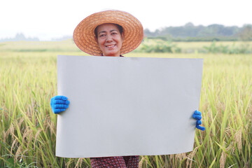 Happy Asian woman farmer is at paddy field, holds blank paper sign that can add text later....