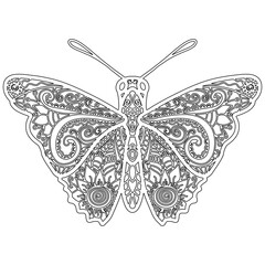 Insect 17, hand drawn, butterfly isolated on white background. Colouring page-296.