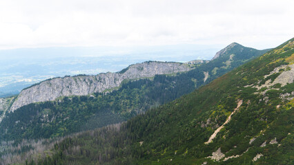 mountain view forest landscape Poland Zakopane