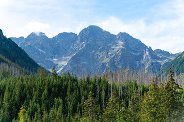 mountain view forest landscape Poland Zakopane
